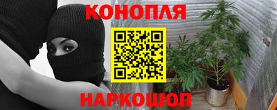 крисы Краснокаменск