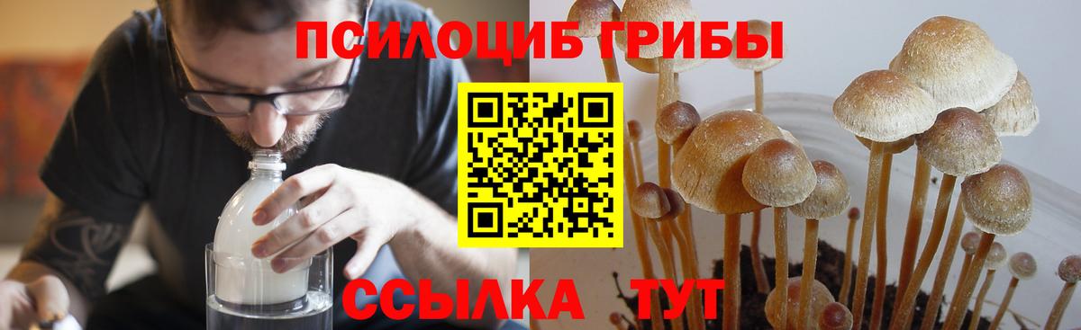 Бирск  наркота  Вход с VPN  Галлюциногенные грибы Psilocybine cubensis  Галлюциногенные грибы Psilocybe 